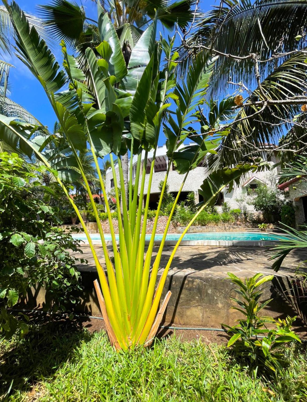 Tembo Village Watamu Bagian luar foto